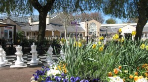 the-courtyard-at-lakeside